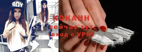 ПСИЛОЦИБИНОВЫЕ ГРИБЫ Белокуриха
