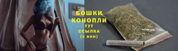 ПСИЛОЦИБИНОВЫЕ ГРИБЫ Белокуриха
