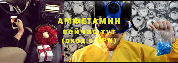 ПСИЛОЦИБИНОВЫЕ ГРИБЫ Белокуриха