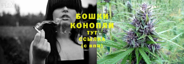 ПСИЛОЦИБИНОВЫЕ ГРИБЫ Белокуриха