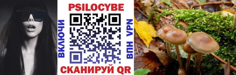 Купить закладки  Грязи  Псилоцибиновые грибы Psilocybine cubensis 